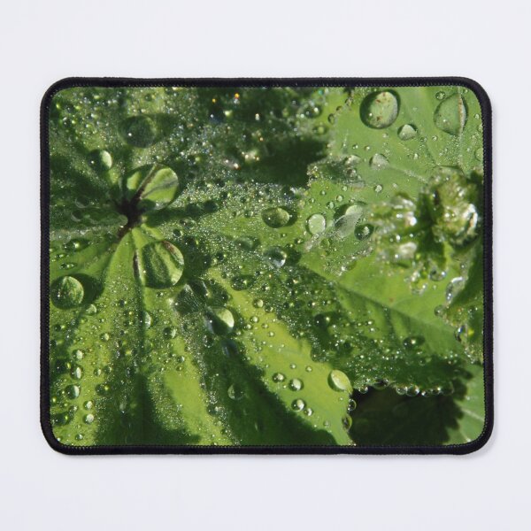 Item preview, Alchemilla designed and sold by Lauviahsdesign.