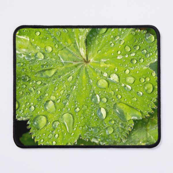 Item preview, Alchemilla designed and sold by Lauviahsdesign.