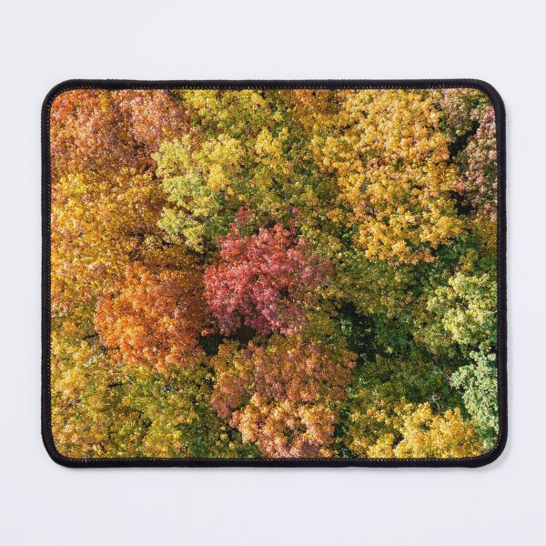 Item preview, Aerial top down landscape of beautiful colorful autumn forest designed and sold by Lukasz Szczepanski.