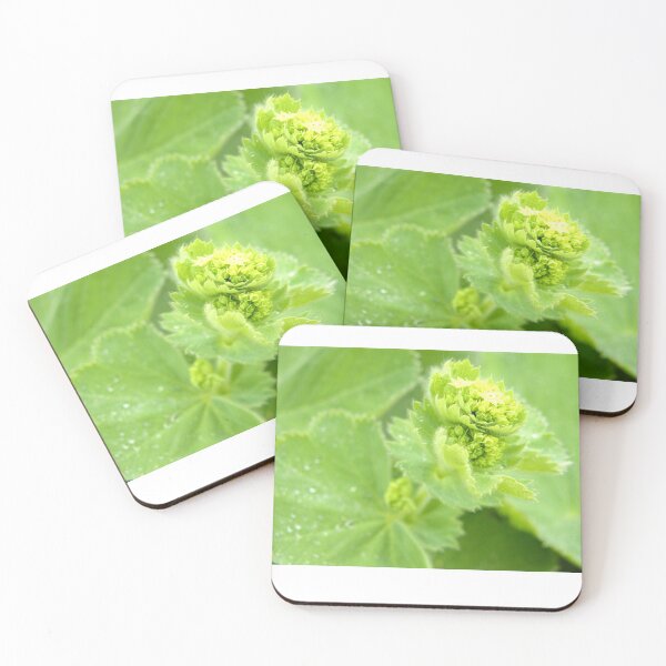 Item preview, Alchemilla designed and sold by Lauviahsdesign.