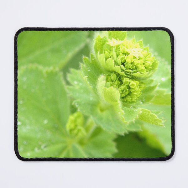 Item preview, Alchemilla designed and sold by Lauviahsdesign.