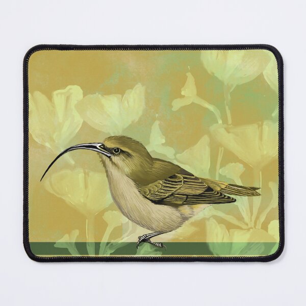 Item preview, Hawaiian Honeycreeper, Extinct Bird designed and sold by Sarah Hearfield.