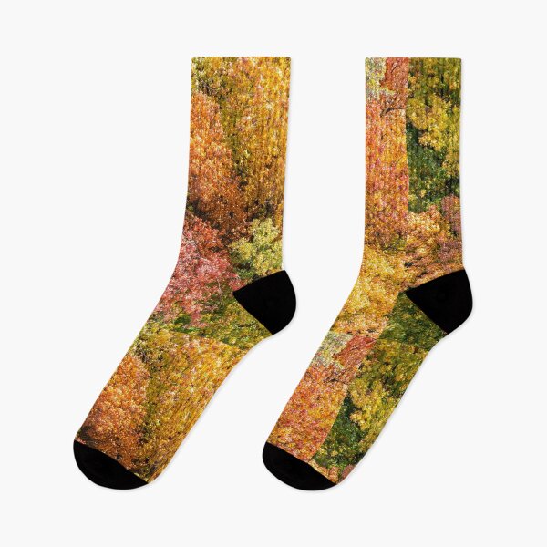 Item preview, Aerial top down landscape of beautiful colorful autumn forest designed and sold by Lukasz Szczepanski.