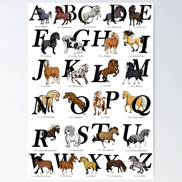 Aperçu de l'œuvre ABC des races de chevaux créée et vendue par Roxanne Milson.