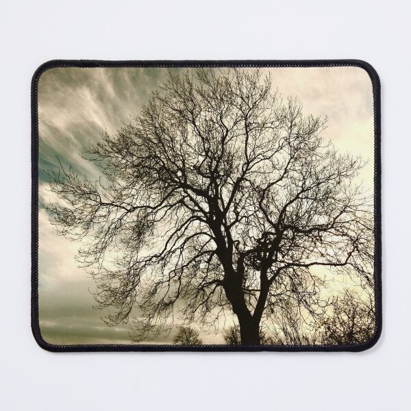 Item preview,  Digital photograph of Tree silhouette designed and sold by SimonJohnson1.