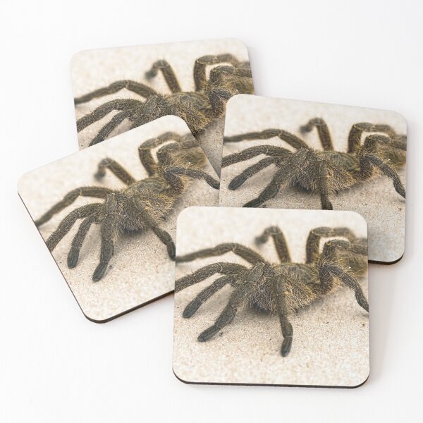 Item preview, Tarantula designed and sold by KauriMountain.
