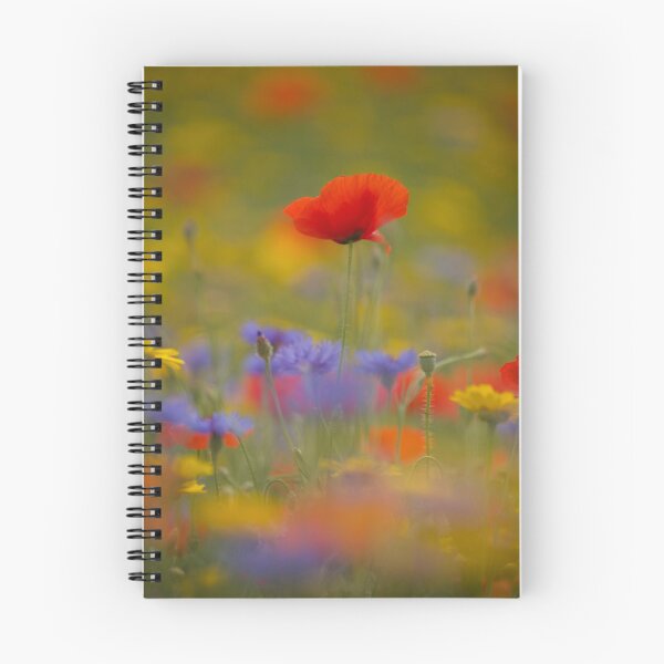 Item preview, Digital photograph of poppy designed and sold by SimonJohnson1.