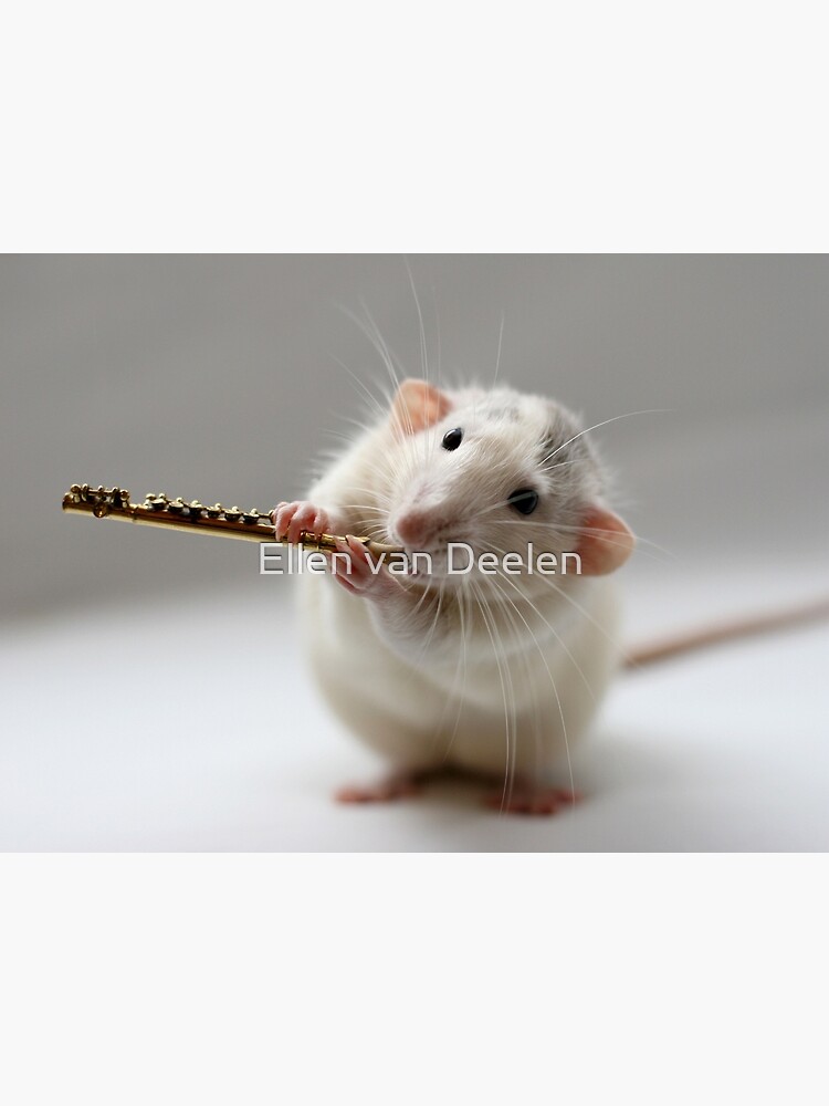 The flute by Ellen
