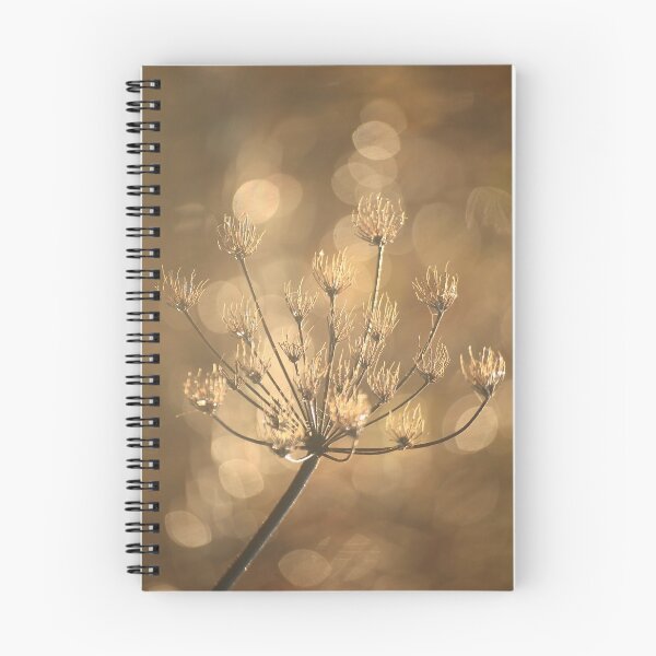 Item preview,  Digital photograph of Sunlit frosted grass designed and sold by SimonJohnson1.
