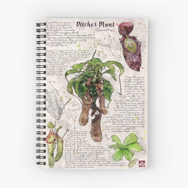 Item preview, Pitcher Plant Botanical Poster designed and sold by Elvenwings.