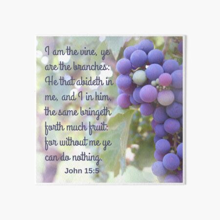 John 15:5 KJV Art Board Print
