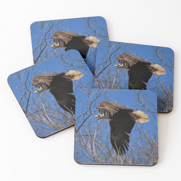 Item preview, Eagle flyby designed and sold by FehrPhotos.