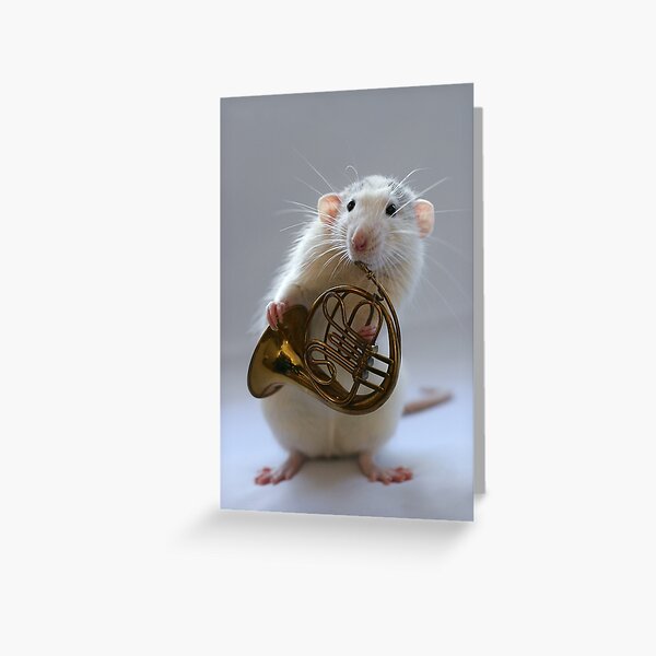French horn. Greeting Card