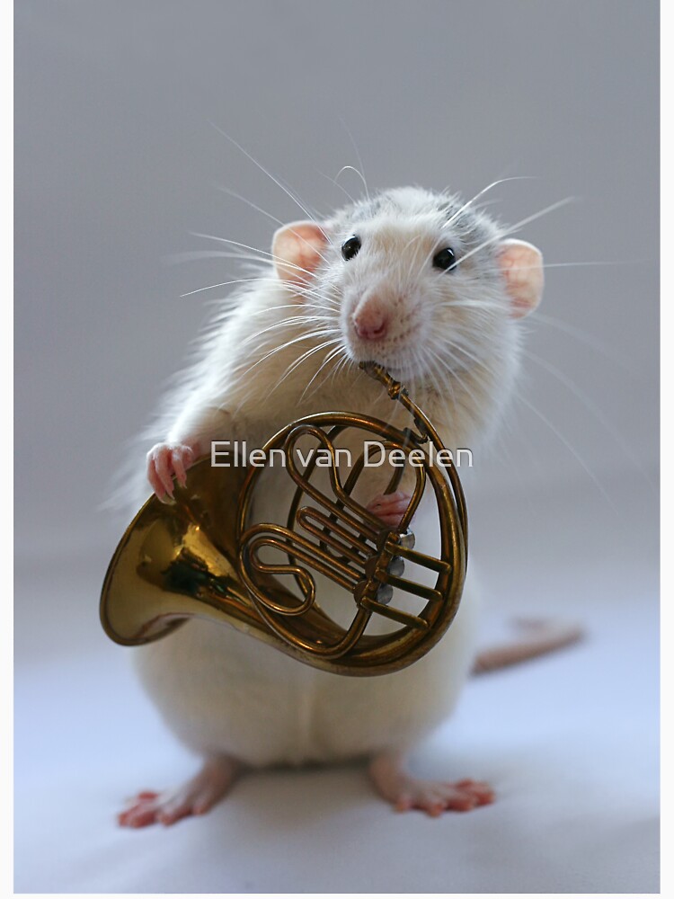 French horn. by Ellen