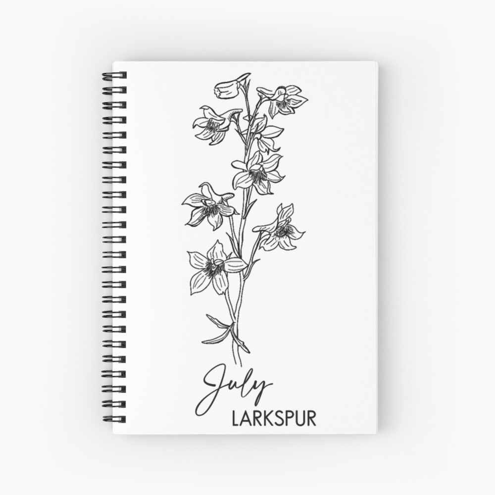 Larkspur July Birth Flower Ubicaciondepersonas Cdmx Gob Mx