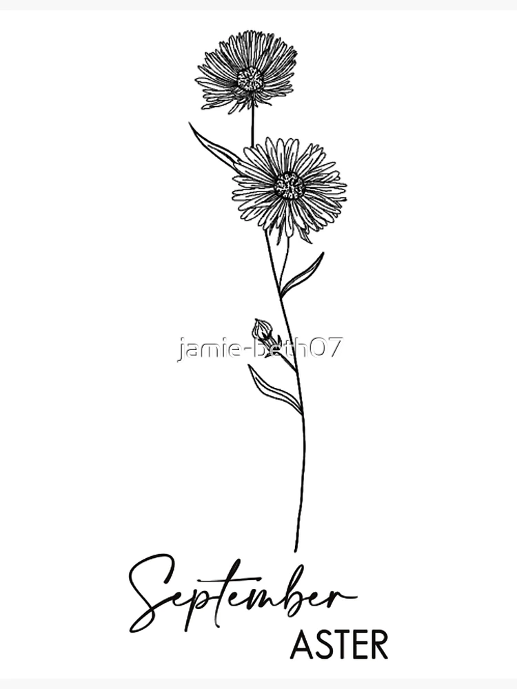 September Birth Flower Tattoo Ideas {The Aster} - TattooGlee | Birth flower  tattoos, Flower tattoo, September birth flower