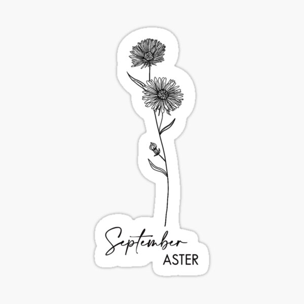 September Birth Month Flower Pack Scan aster and Morning  Etsy