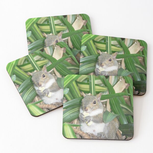 Item preview, Hungry Squirrel designed and sold by Monika's Shop.