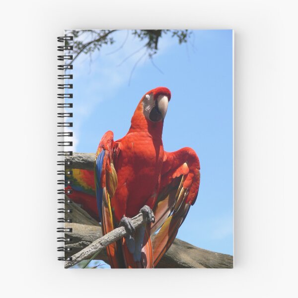 Item preview, Red Parrot at Busch Gardens designed and sold by Monika's Shop.