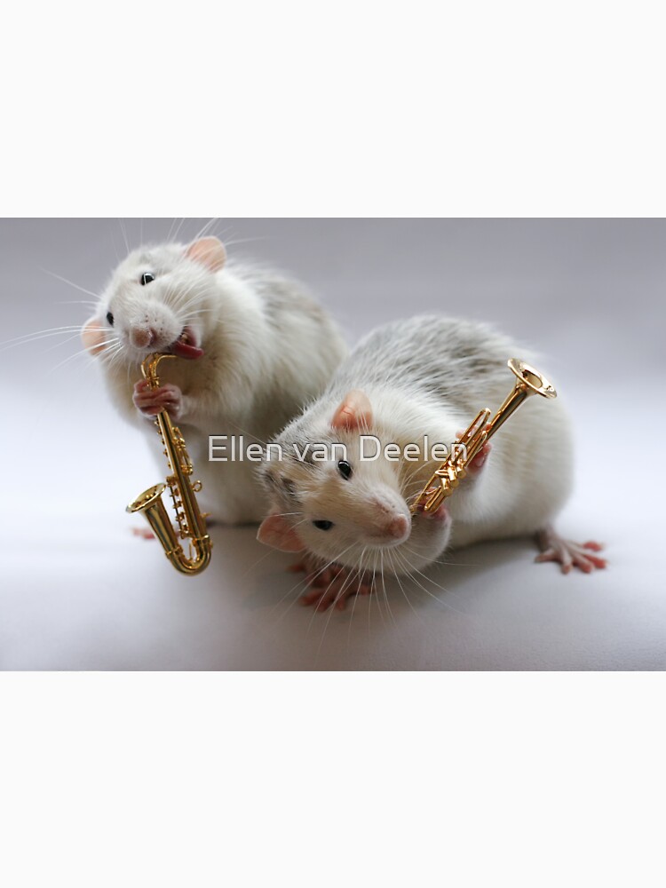 Same Band.... by Ellen
