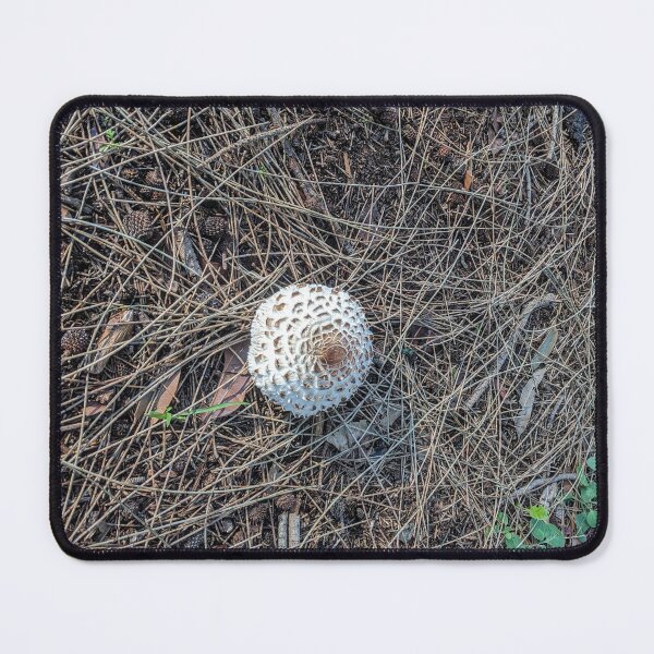 Item preview, Mushroom growing in the park designed and sold by jentiger.