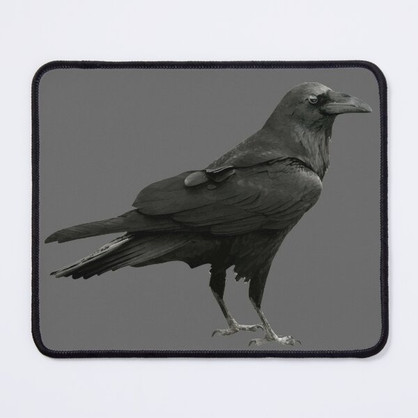 SYMSPAD Mousepads for Computers One Crow Pagan Raven Wildlife Celtic Art Mythology Bird Black Knot Pattern Design Dark Oblong Shape 8.6 X 7.1 in Inches Non-Slip Oblong Gaming Mouse Pad