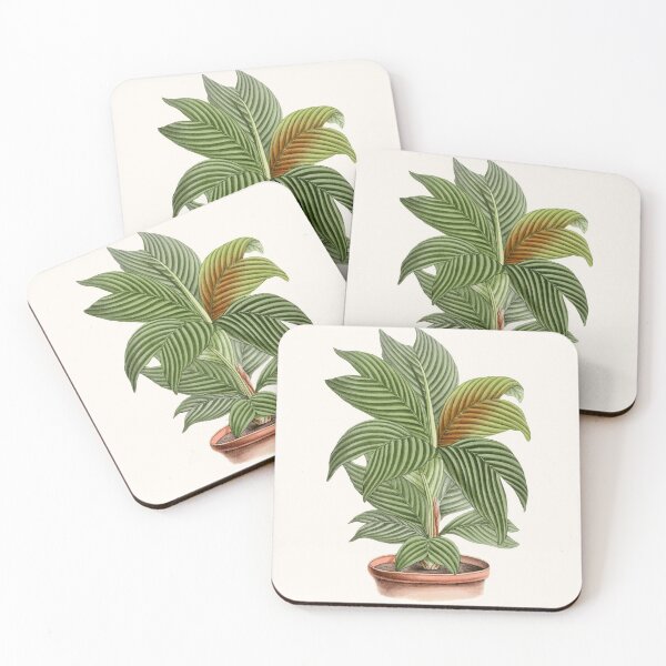 Item preview, Vintage Foliage Plant designed and sold by JoyforU.