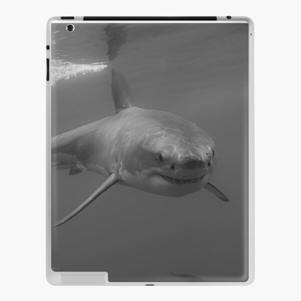 The Man In Grey iPad Skin