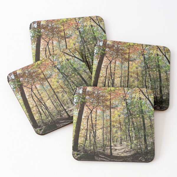 Item preview, Autumn Trail designed and sold by Lens2Canvas.