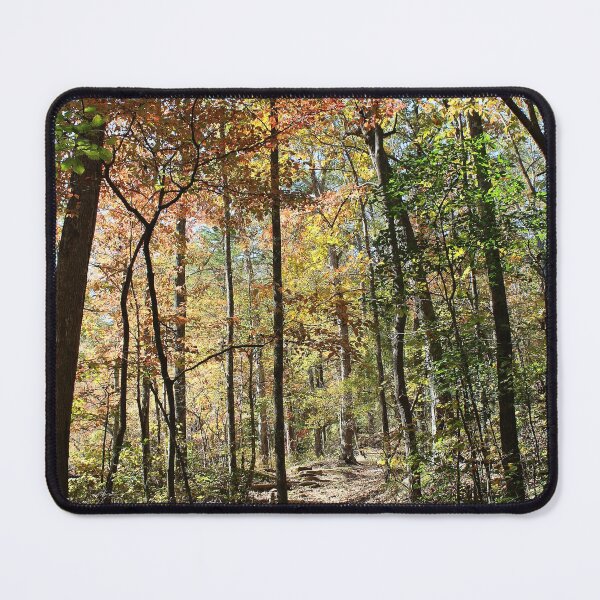Item preview, Autumn Trail designed and sold by Lens2Canvas.