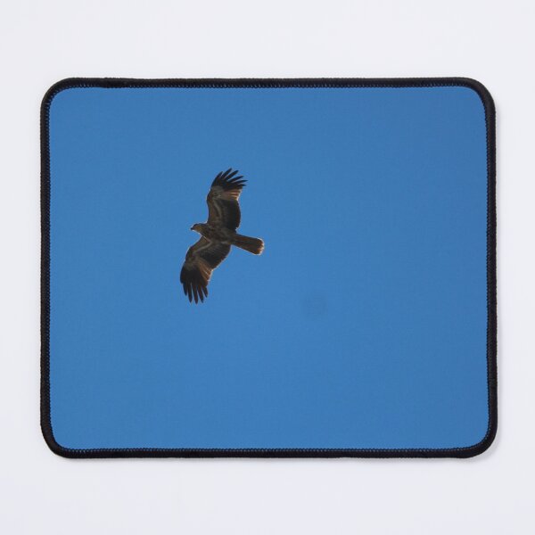 Item preview, Sea Eagle designed and sold by smh2.