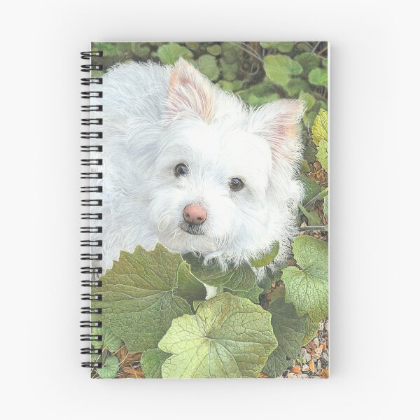 Item preview, "Bella" (Maltese Cross) designed and sold by Frances McMahon Watercolour Bird Artist.