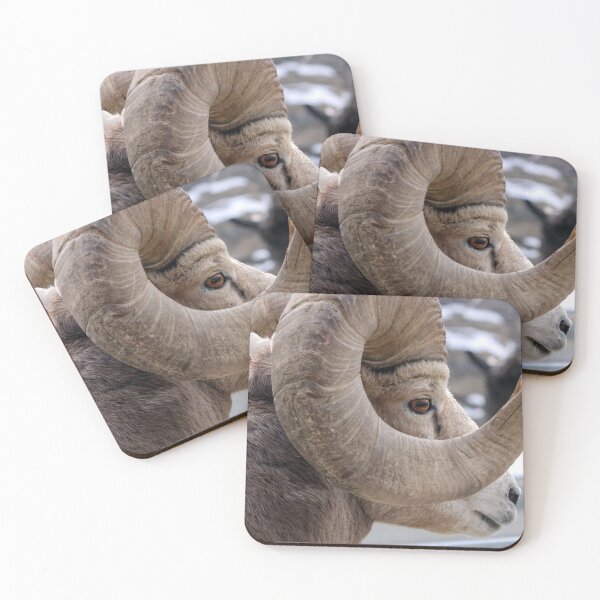 Item preview, Rocky Mountain Sheep designed and sold by Alyce Taylor.