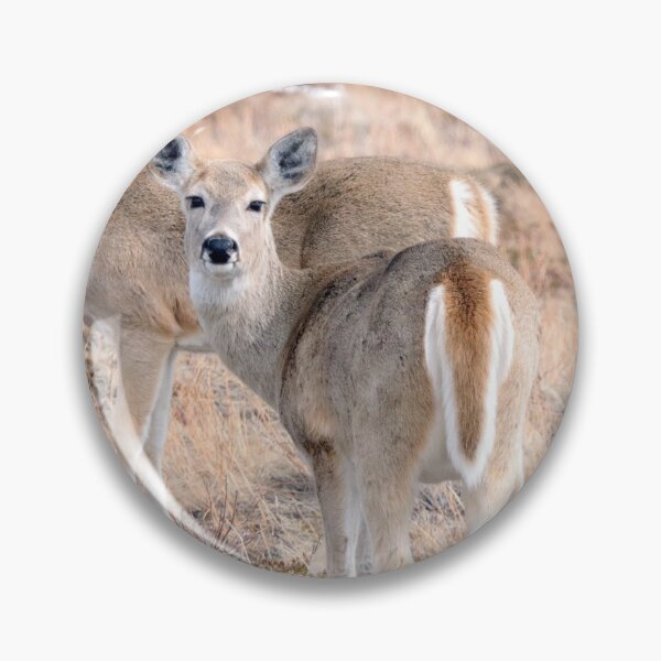 Item preview, White Tailed Deer designed and sold by Alyce Taylor.