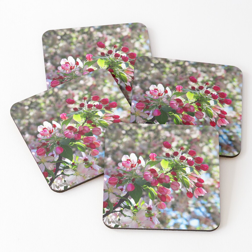 Item preview, Coasters (Set of 4) designed and sold by Lens2Canvas.
