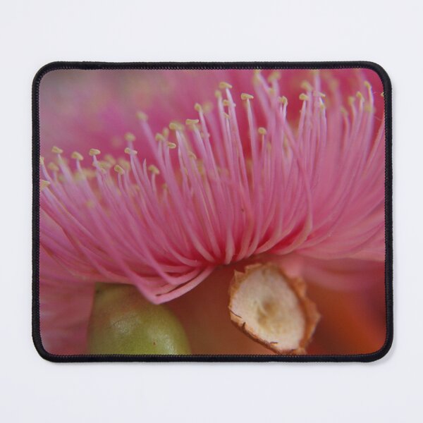 Item preview, the pink of blush slipping into Autumn designed and sold by byzantinehalo.