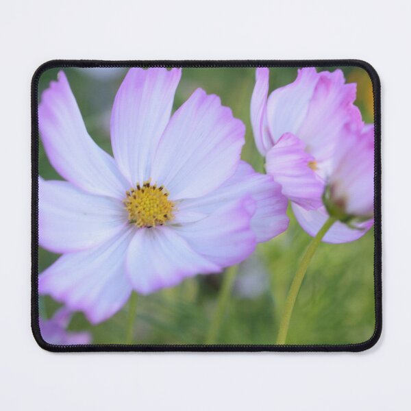 Item preview, Strawberries and Cream designed and sold by kjamesphotos.