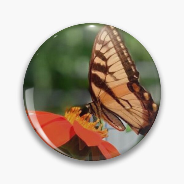 Item preview, Butterfly on Mexican Sunflower designed and sold by WhydeFamilyShop.