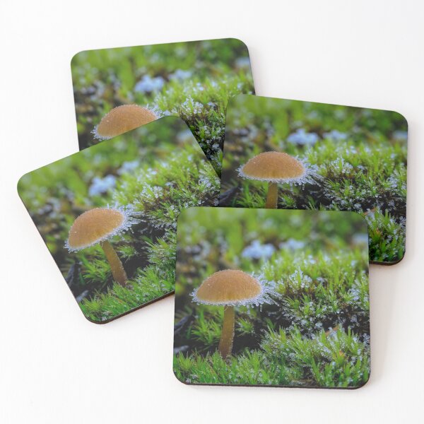 Item preview, Cold morning designed and sold by Veikko  Suikkanen.