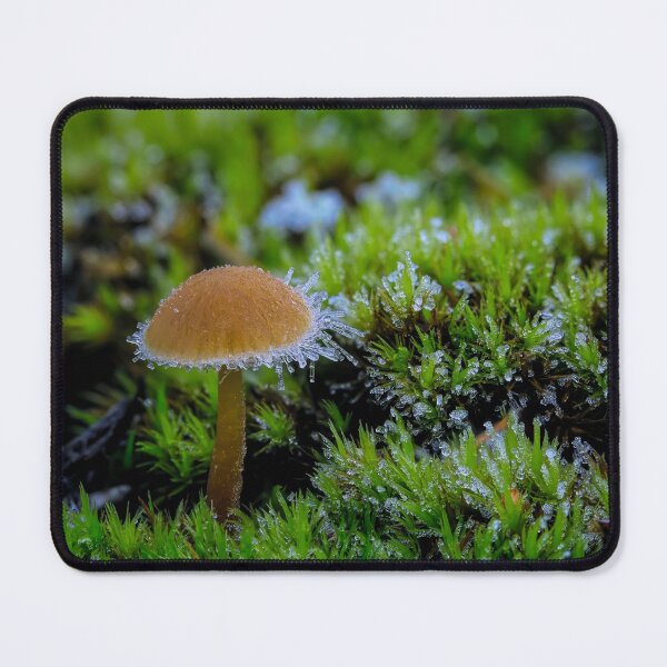 Item preview, Cold morning designed and sold by Veikko Suikkanen.