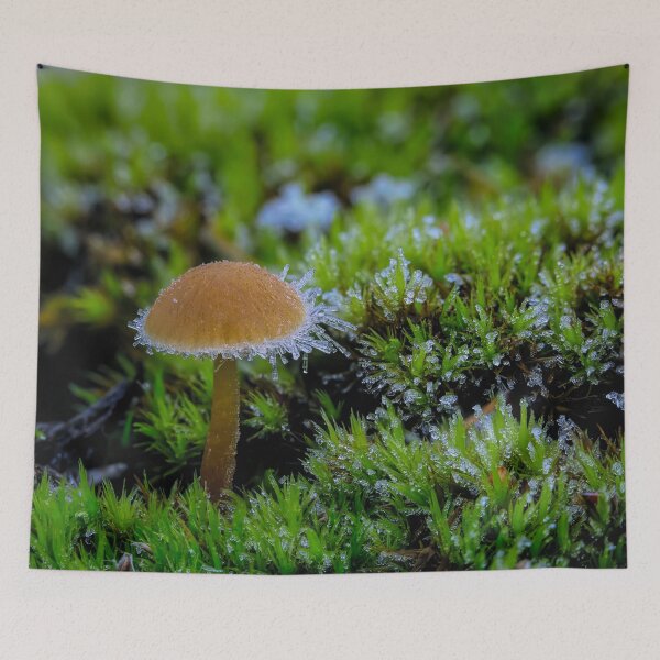 Item preview, Cold morning designed and sold by Veikko  Suikkanen.