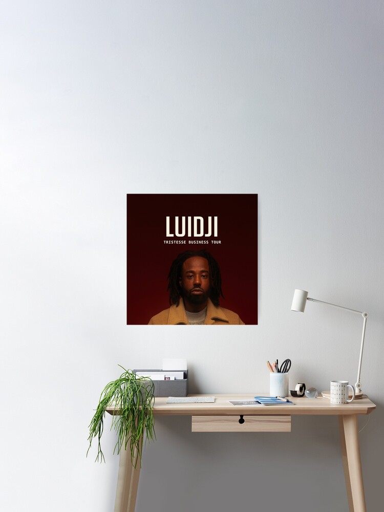 LUIDJI Poster for Sale by brendasTsika