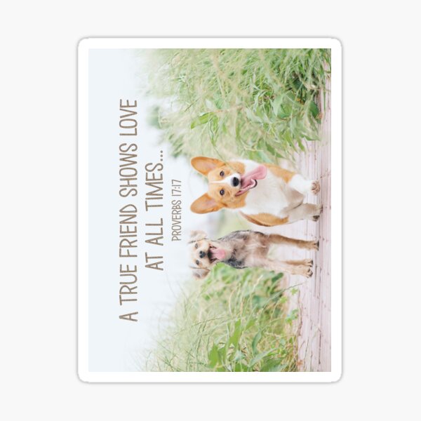 Proverbs 17:17 Sticker
