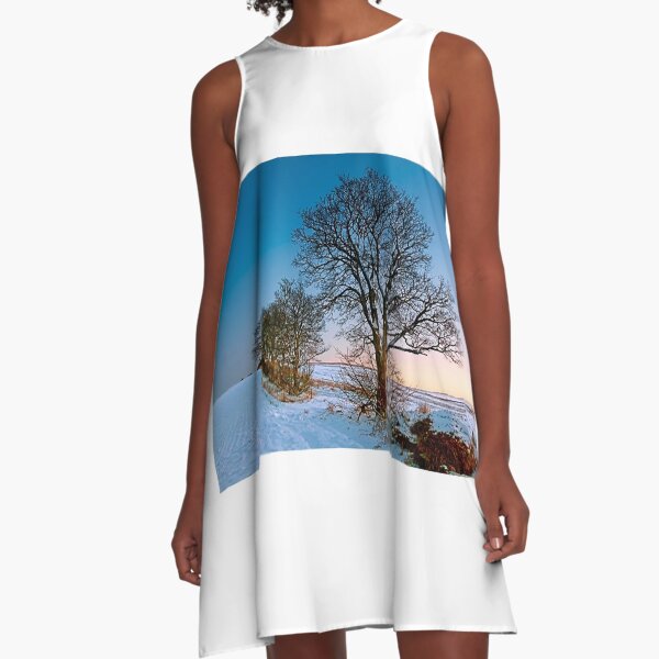Winter Wonderland A-Line Dress
