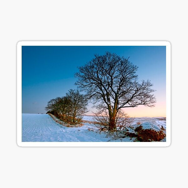Winter Wonderland Sticker