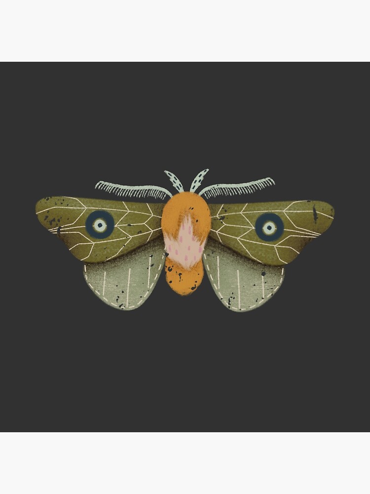 Moth by TulipanNaranja
