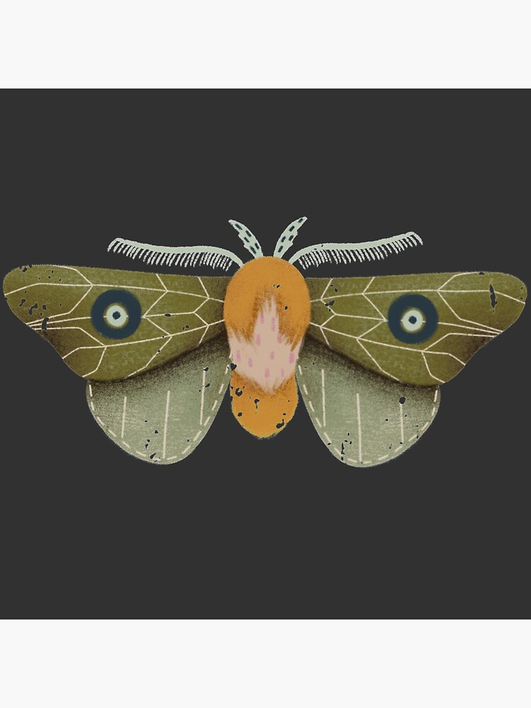 Moth by TulipanNaranja