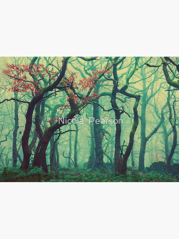 "Tall Tree Tales " Poster by prestonchick Redbubble