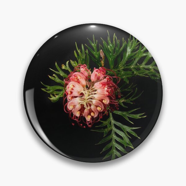 Item preview,  Colourful Red Grevillea bloom, macro view from above. designed and sold by sunnypicsoz.