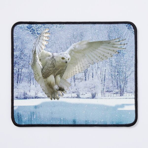 Item preview, Observe and reflect, and become a little wiser everyday ! designed and sold by Barbny.